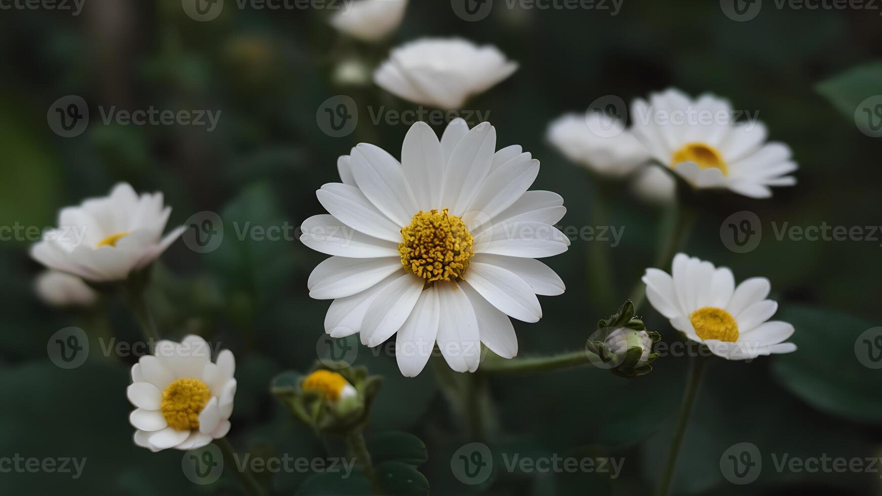 ai generado artístico fondo de pantalla diseño presentando de cerca de tranquilo floral antecedentes foto