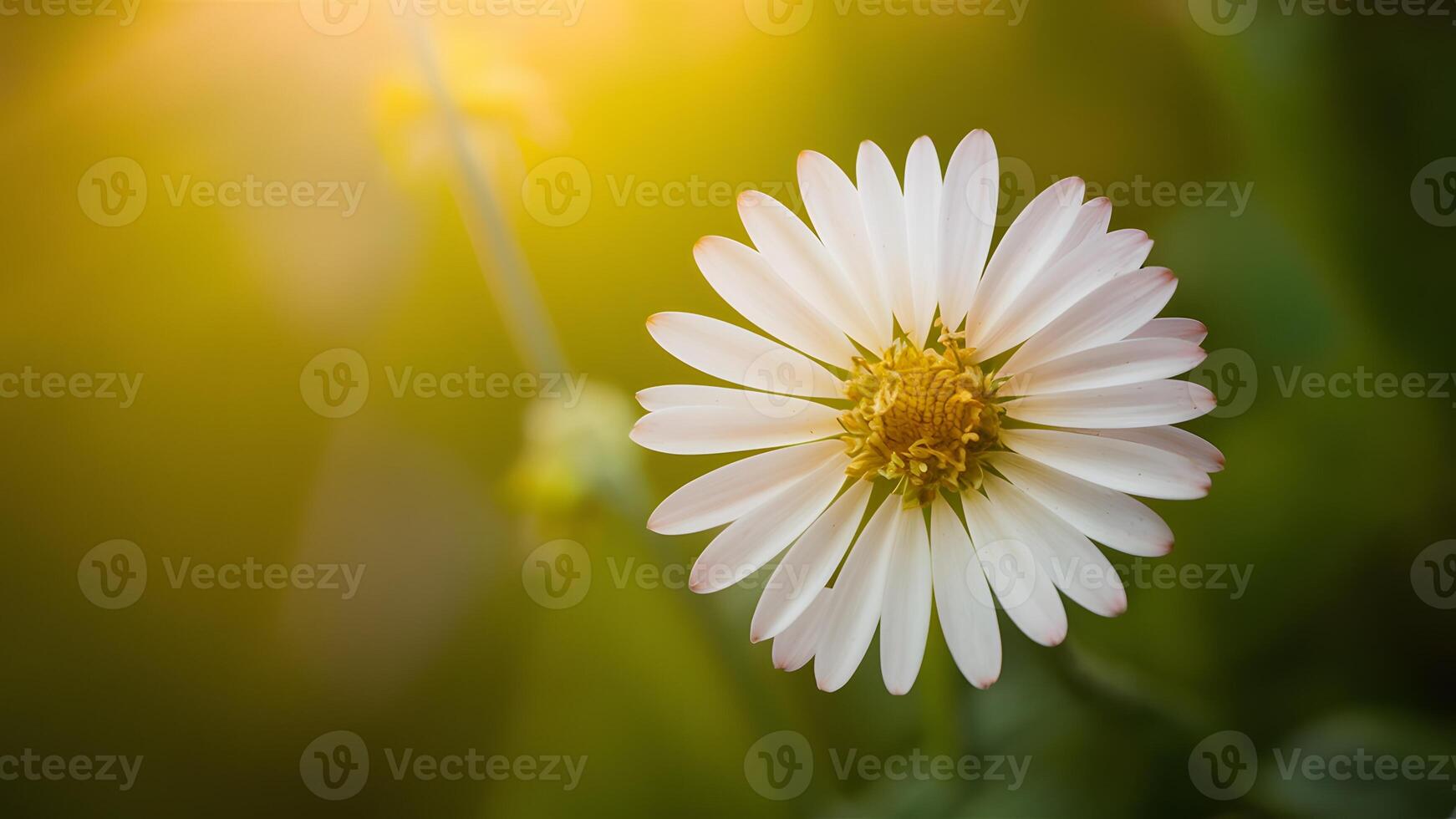 AI generated Petal flower background radiates with soft natural light photo