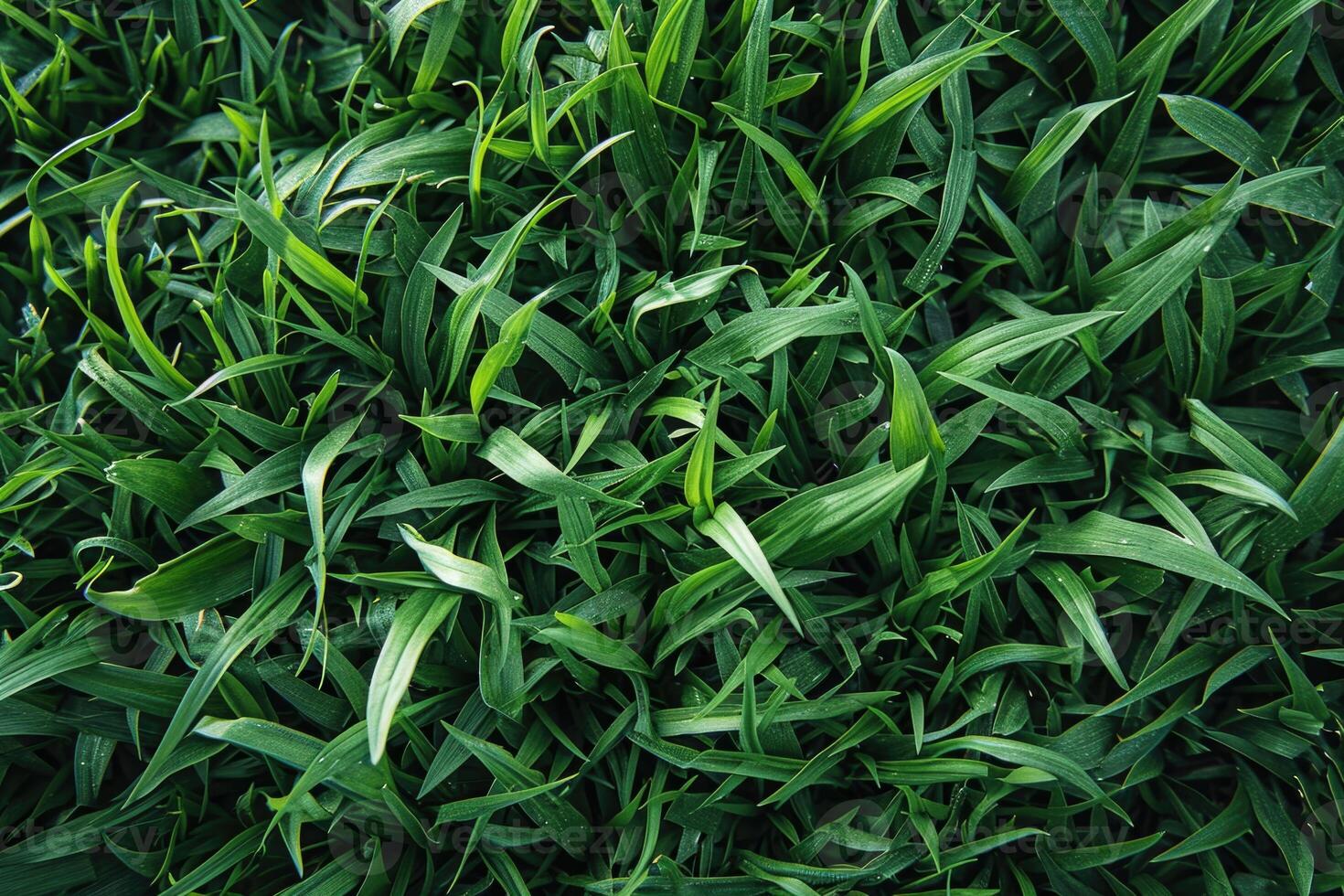 AI generated Green grass background for sports fields and golf courses. photo