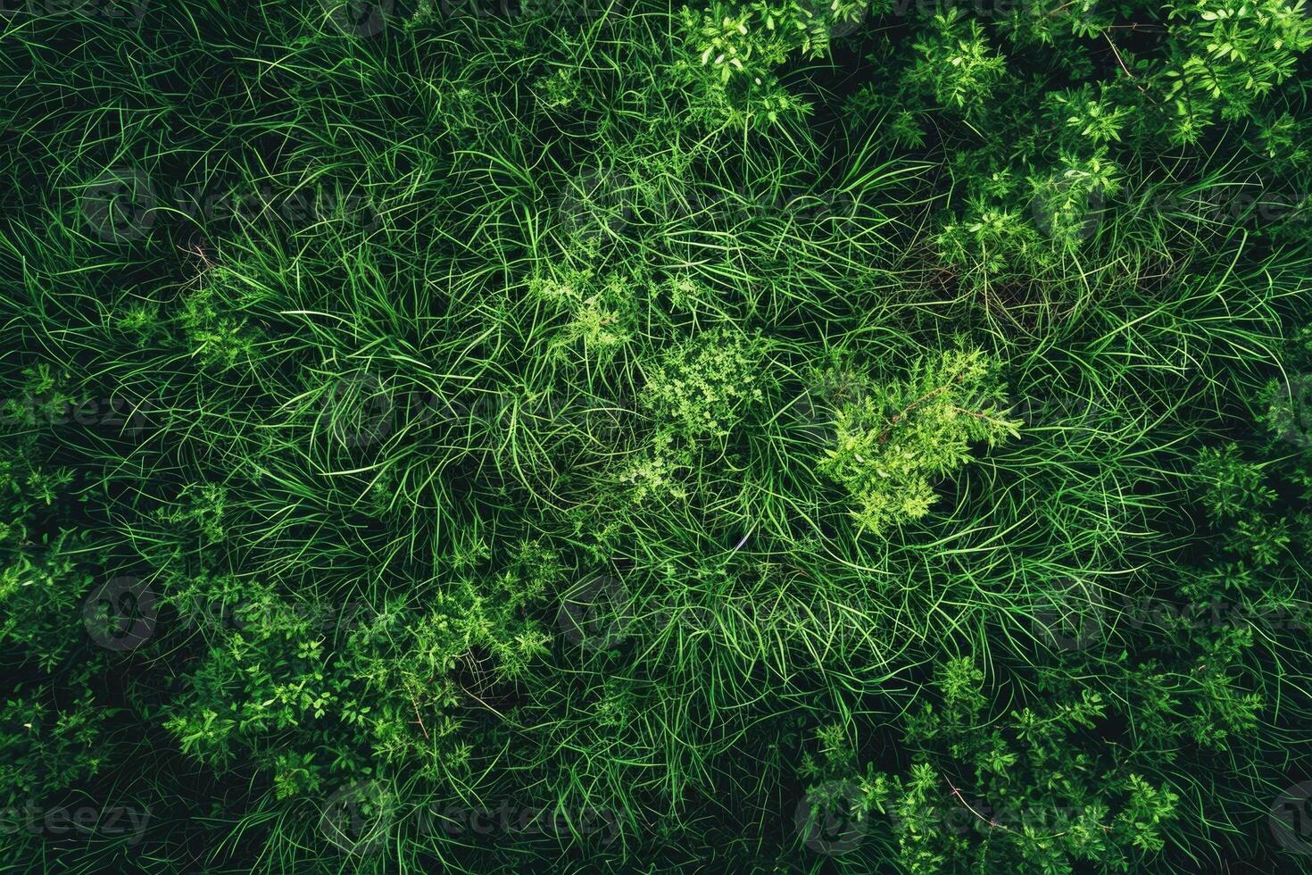 AI generated Drones top view of green grass texture. photo