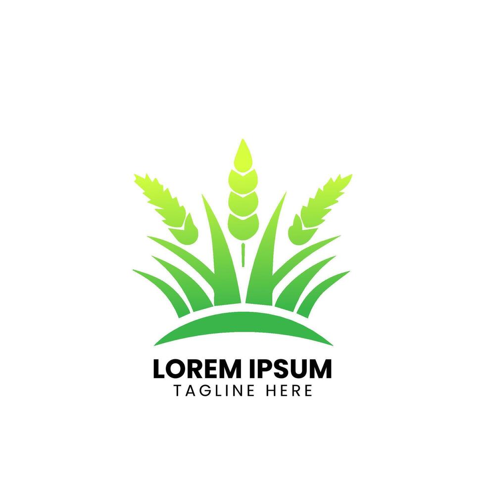Eco Friendly Icons. Ecologic food stamps. Organic natural food labels. vector