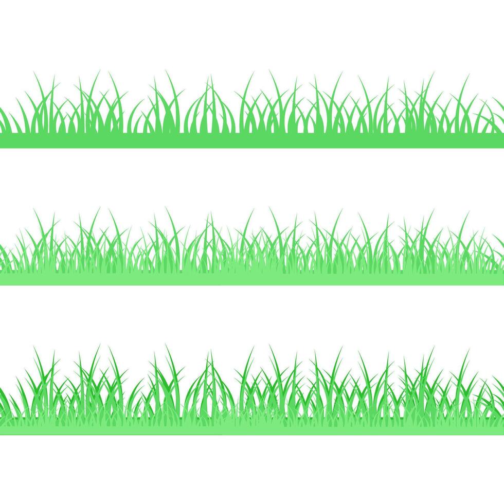 conjunto de sin costura fronteras de verde césped de diferente tipos en un transparente antecedentes vector