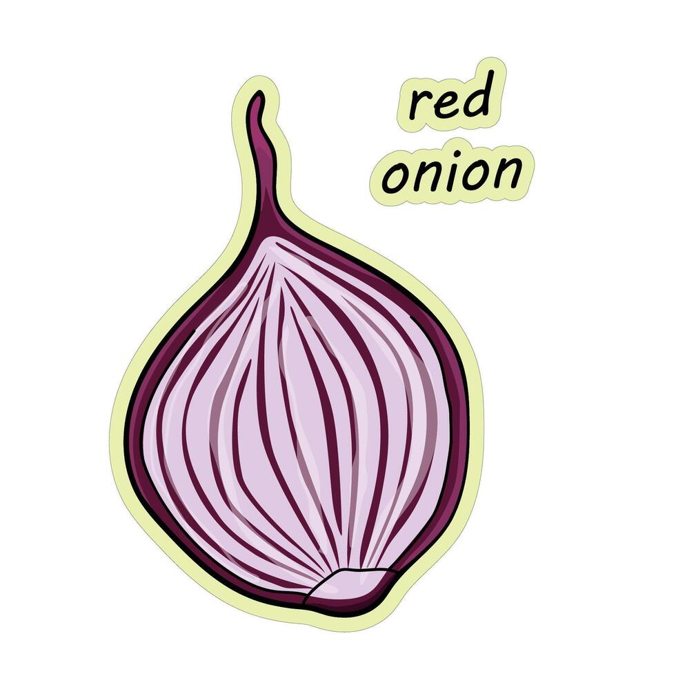 Red onion. Vegetable. Hand drawn red onion sticker, vector illustration in doodle style