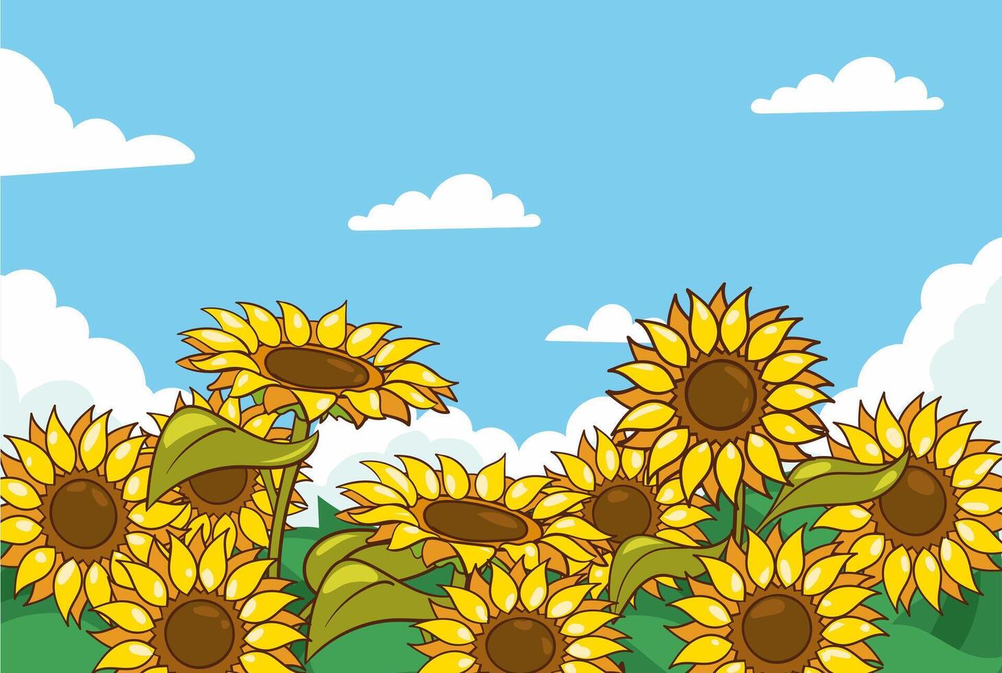 vector illustration of sunflower field, sunny day landscape border background. Summer season nature scenery with under blue sky and beautiful sunflowers.