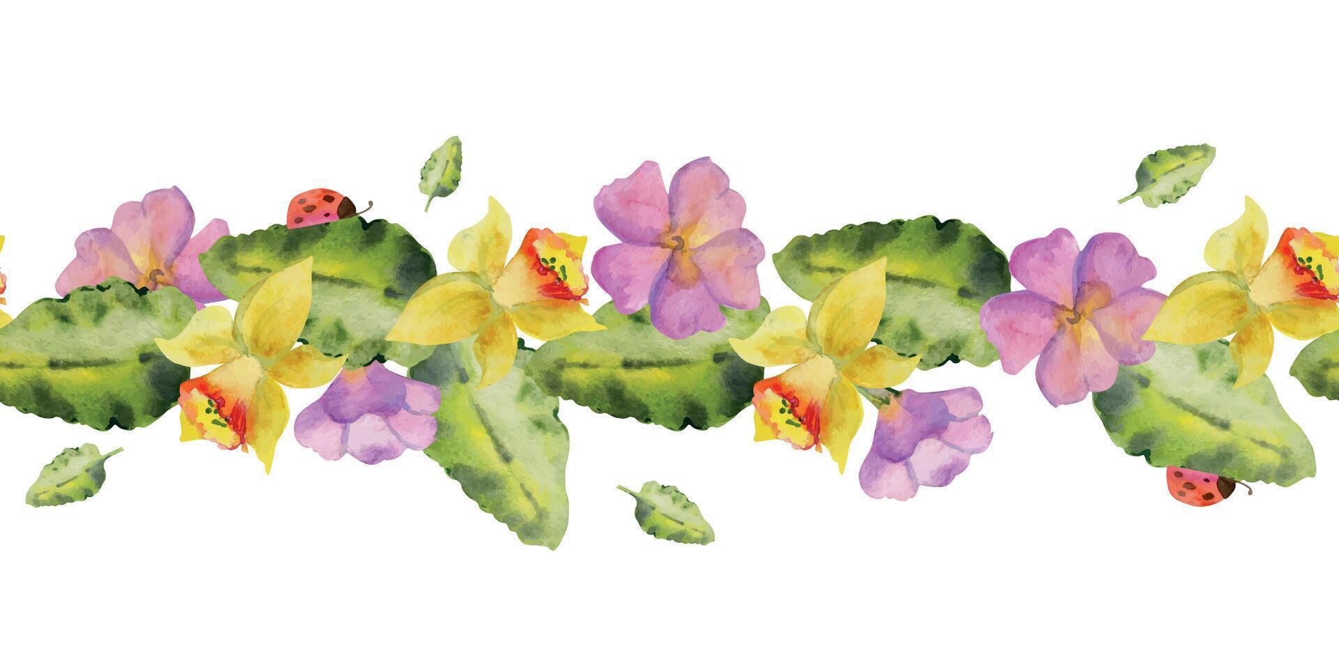 mano dibujado acuarela ilustración primavera jardinería flor cama prímula hojas mariquita naturaleza planta. sin costura bandera aislado en blanco antecedentes. diseño imprimir, comercio, álbum de recortes, embalaje, fondo de pantalla vector