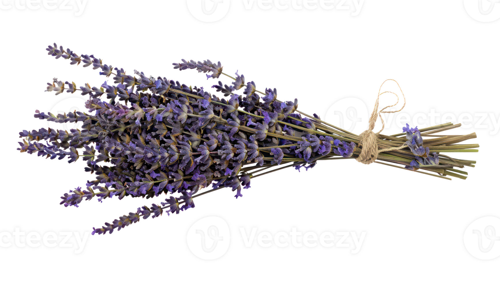 AI generated Lavender bouquet tied with twine png
