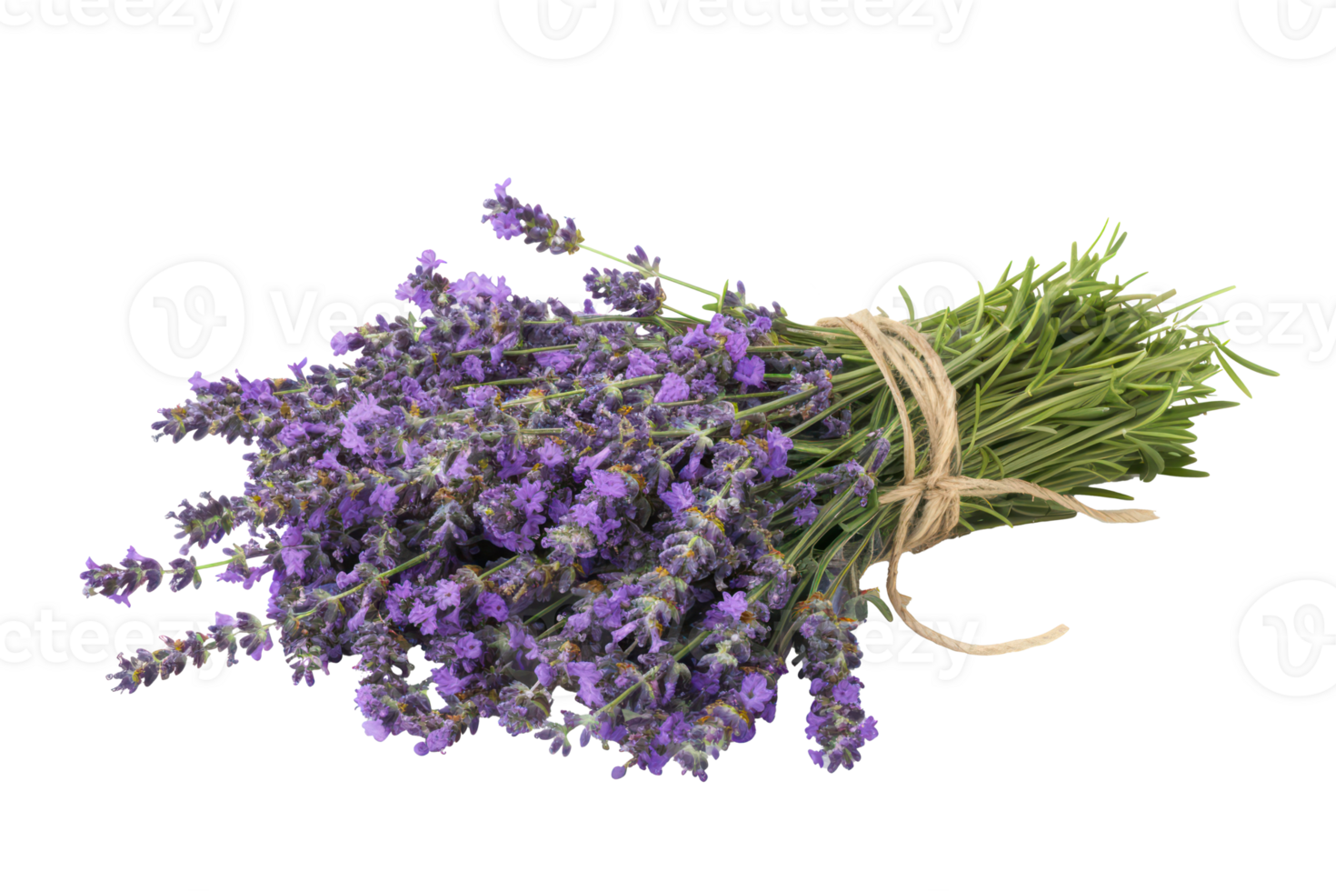 AI generated Lavender bouquet tied with twine png