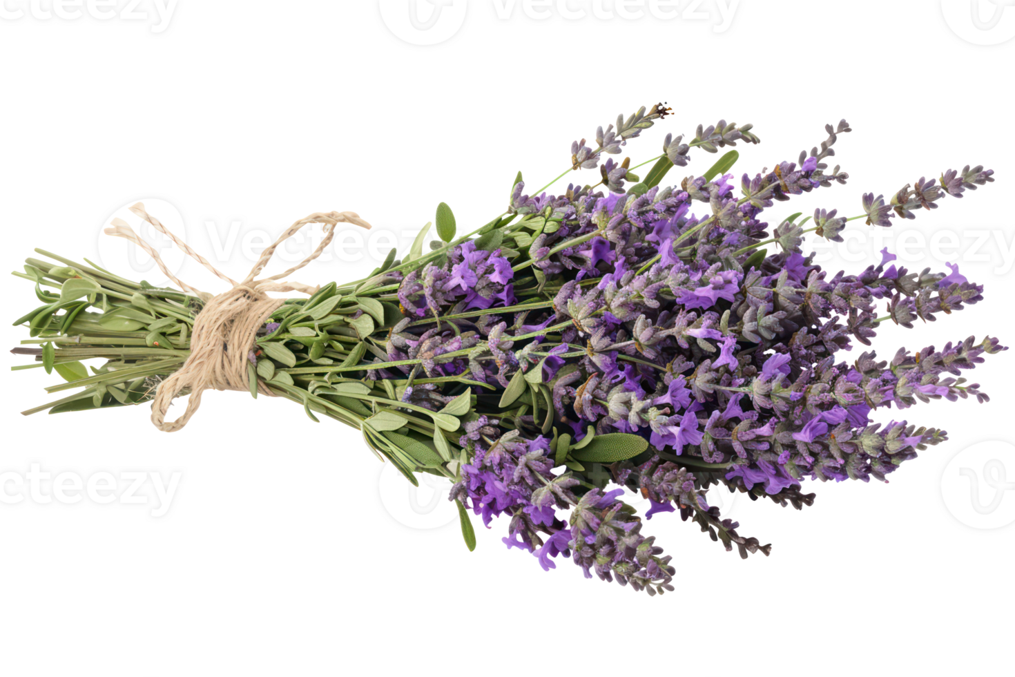 AI generated Lavender bouquet tied with twine png