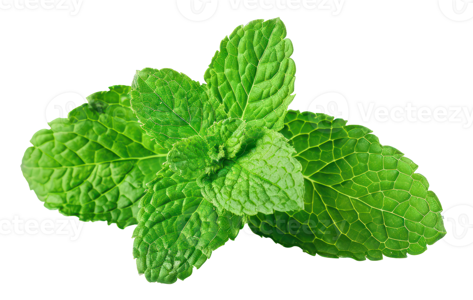 ai généré Frais vert menthe feuilles sur transparent Contexte - Stock png. png