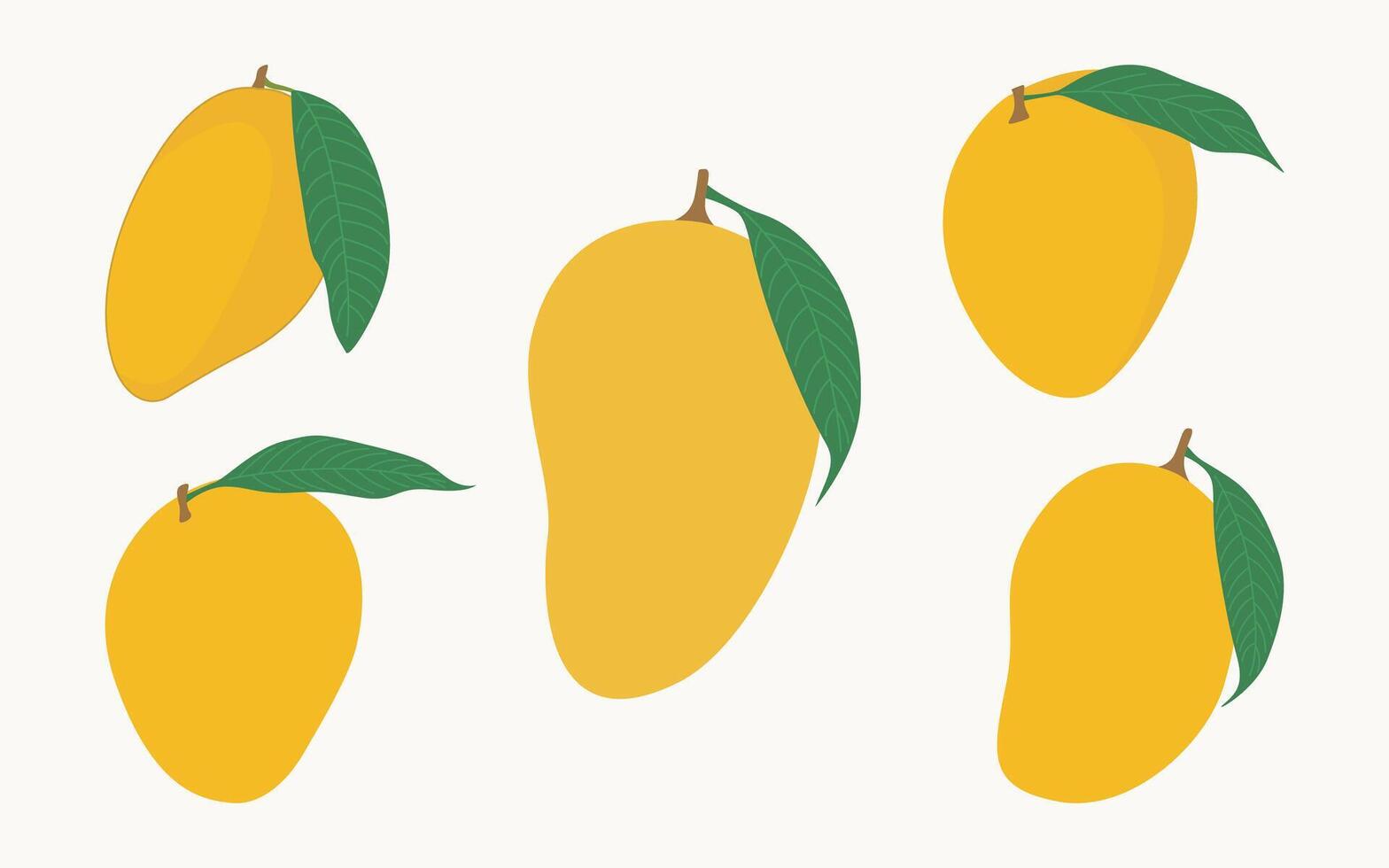 Mango Vector Illustration Hand Drawing Graphic Bundle