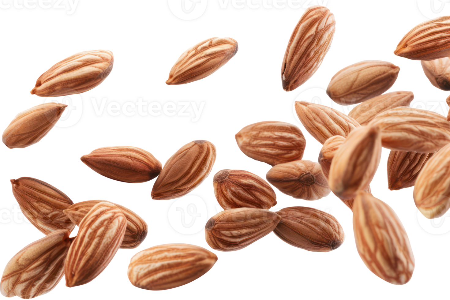 AI generated Scattered almonds on transparent background - stock png. png