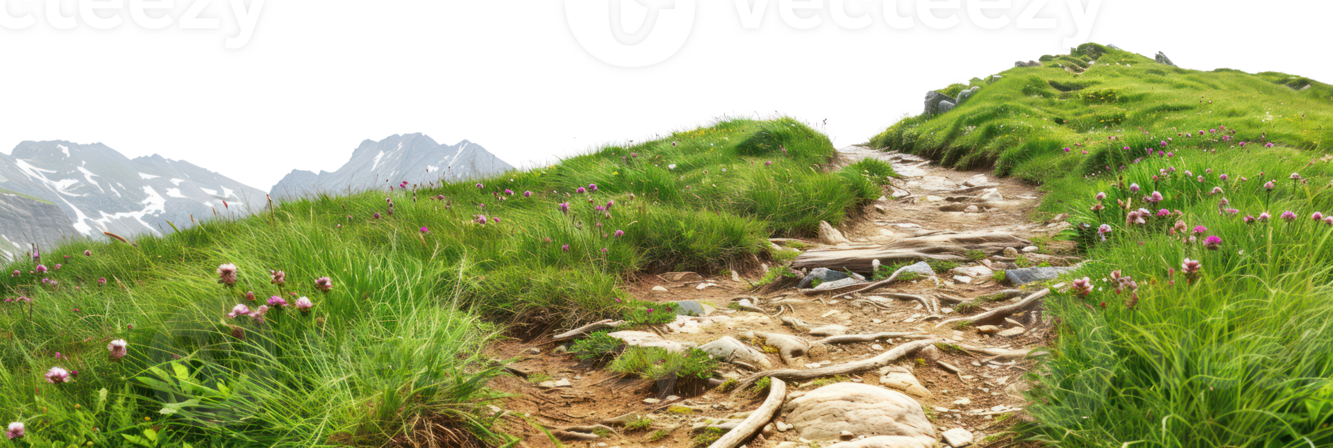 AI generated Scenic mountain trail through lush greenery and rocky terrain on transparent background - stock png. png