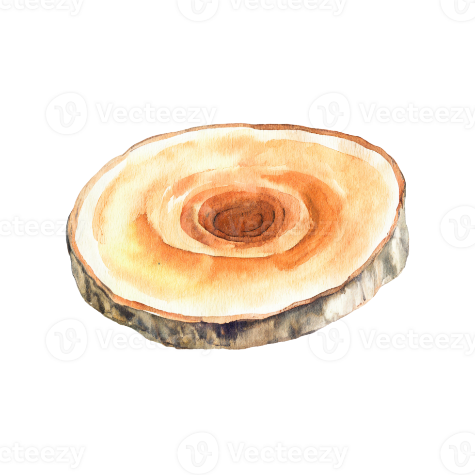 AI generated Watercolor smooth wood slice on transparent background, blending natural textures with artistic finesse png