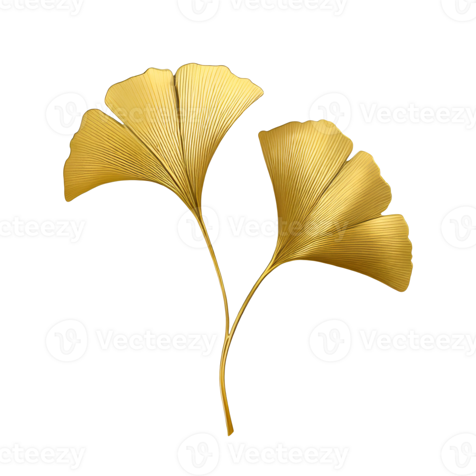 AI generated Elegant and detailed golden ginkgo leaves on a transparent background png