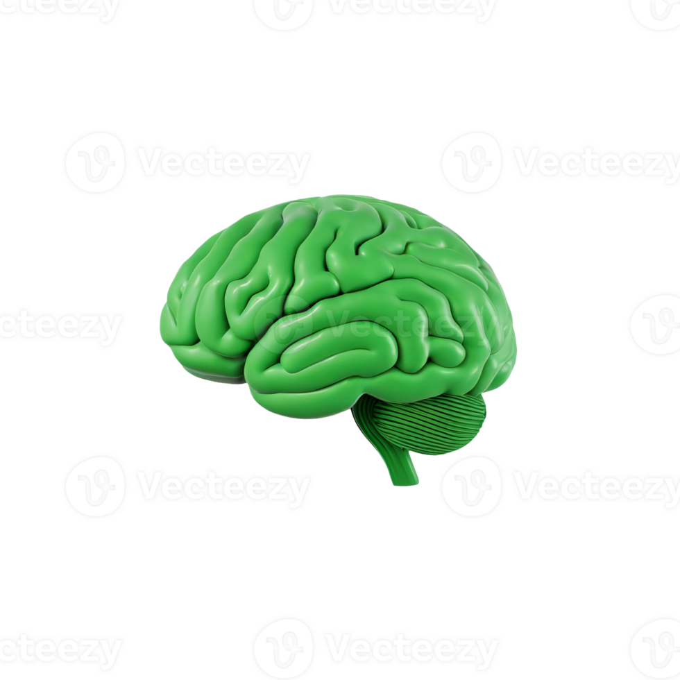 AI generated 3D model of the human brain green, on transparent background png