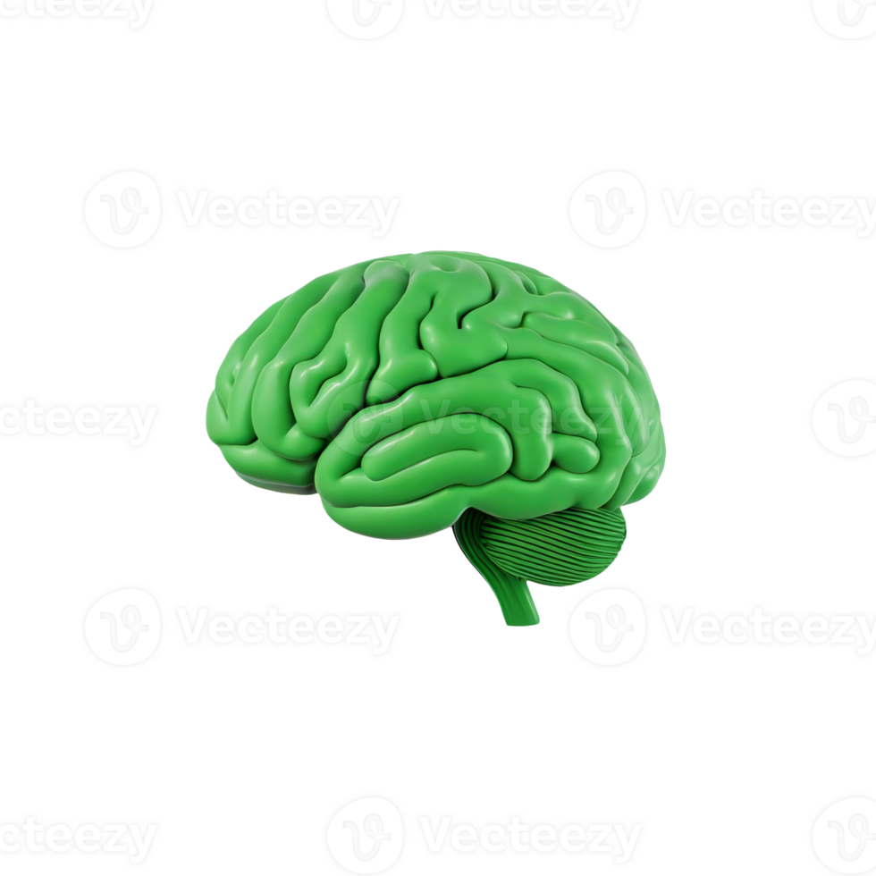 ai generiert 3d Modell- von das Mensch Gehirn Grün, auf transparent Hintergrund png