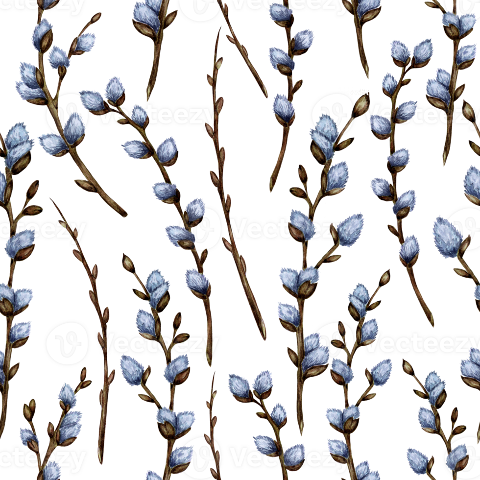 Watercolor illustration of seamless repeating pattern of pussy willow twigs. Spring illustration for design, print, fabric or background. Easter, religion, tradition. Isolated png