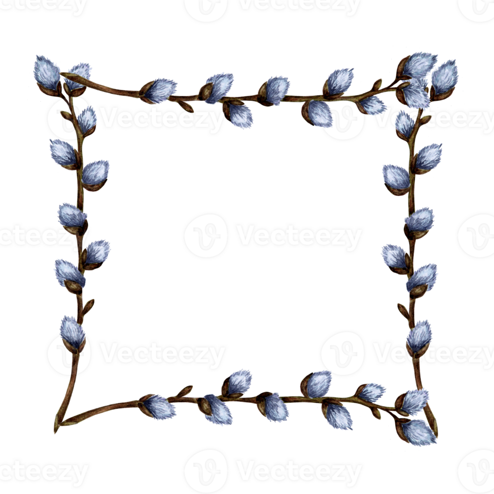 Aquarell Illustration von ein Platz Rahmen gemacht von Weide Geäst. Platz Rand von Muschi Weide Geäst. Hand gezeichnet Ostern rahmen. Frühling Kranz mit Raum zum Text. png