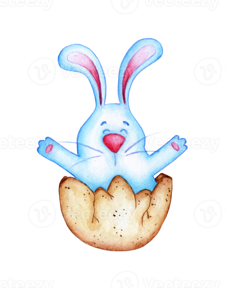 Watercolor illustration of a cute blue Easter bunny protruding from an egg. Hare in a shell drawing for children. Easter, religion, tradition. Isolated. Drawn by hand. png
