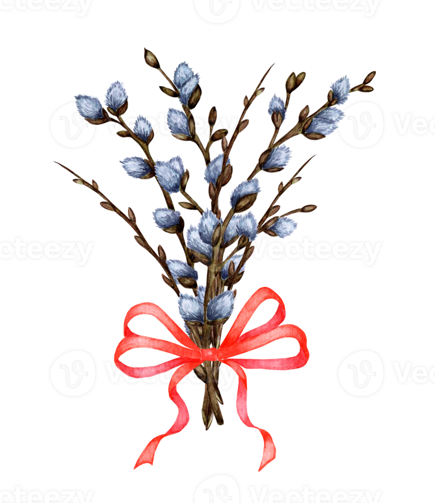 Watercolor illustration of a bouquet of willow twigs tied with a red ribbon. Religion, tradition, Easter. Easter bouquet isolated. Drawn by hand. png