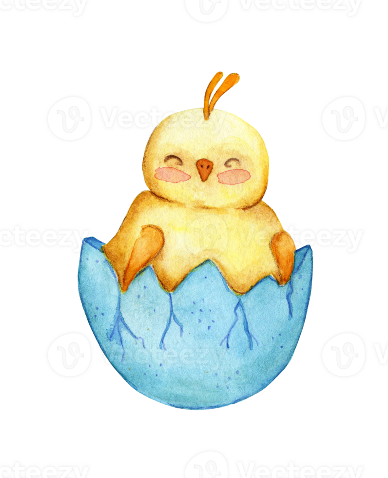 Watercolor illustration of a cute little yellow chicken sitting in a shell. Drawing of a hatched chick for children. Easter, religion, tradition. Isolated png