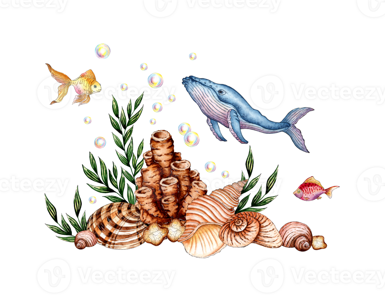 Watercolor illustration of the underwater world with a whale, seaweed, beige corals, shells and bubbles. Sea animals isolated. Compositions for posters, cards, banners, flyers, covers, png