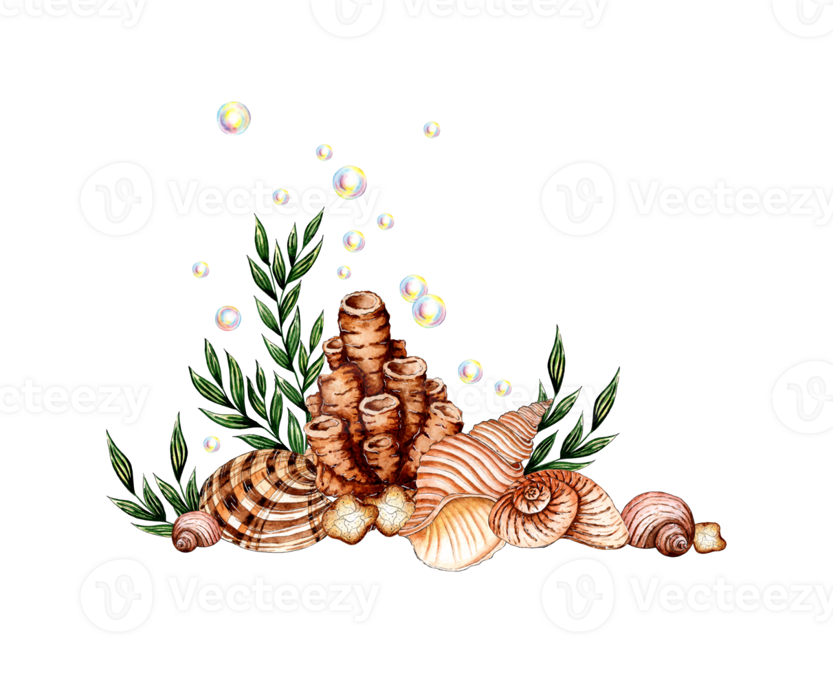 aquarelle illustration de le sous-marin monde avec algues, beige coraux, coquilles et bulles. mer animaux isolé. compositions pour affiches, cartes, bannières, dépliants, couvertures, png