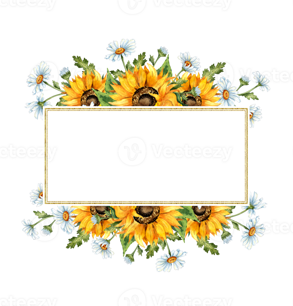 Watercolor illustration of a frame of yellow sunflowers and white daisies. Harvest Festival. Border with place for text isolated. Compositions for posters, cards, banners, flyers, covers, playbills png