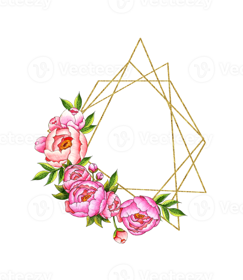 Aquarell Illustration Rahmen geometrisch mit Rosa Pfingstrosen, Knospen und Blätter. botanisch Komposition isoliert von Hintergrund. großartig Muster zum Zuhause Dekor, Schreibwaren, Hochzeit Einladungen png