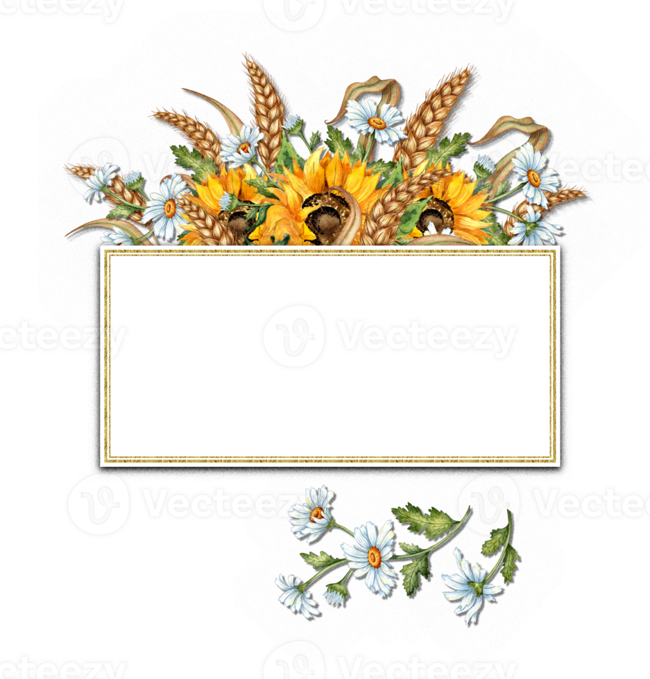 Watercolor illustration of a bouquet of yellow sunflowers, white daisies, ears of wheat with a frame with space for text. Harvest Festival. Compositions for posters, cards, banners, flyers, covers. png