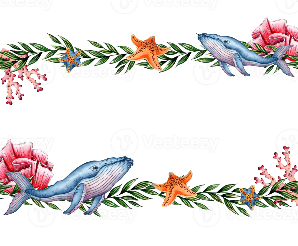 Watercolor illustration of a pattern of the underwater world with algae, whales, starfish, corals. Sea animals isolated. Compositions for posters, cards, banners, flyers, covers, playbills png