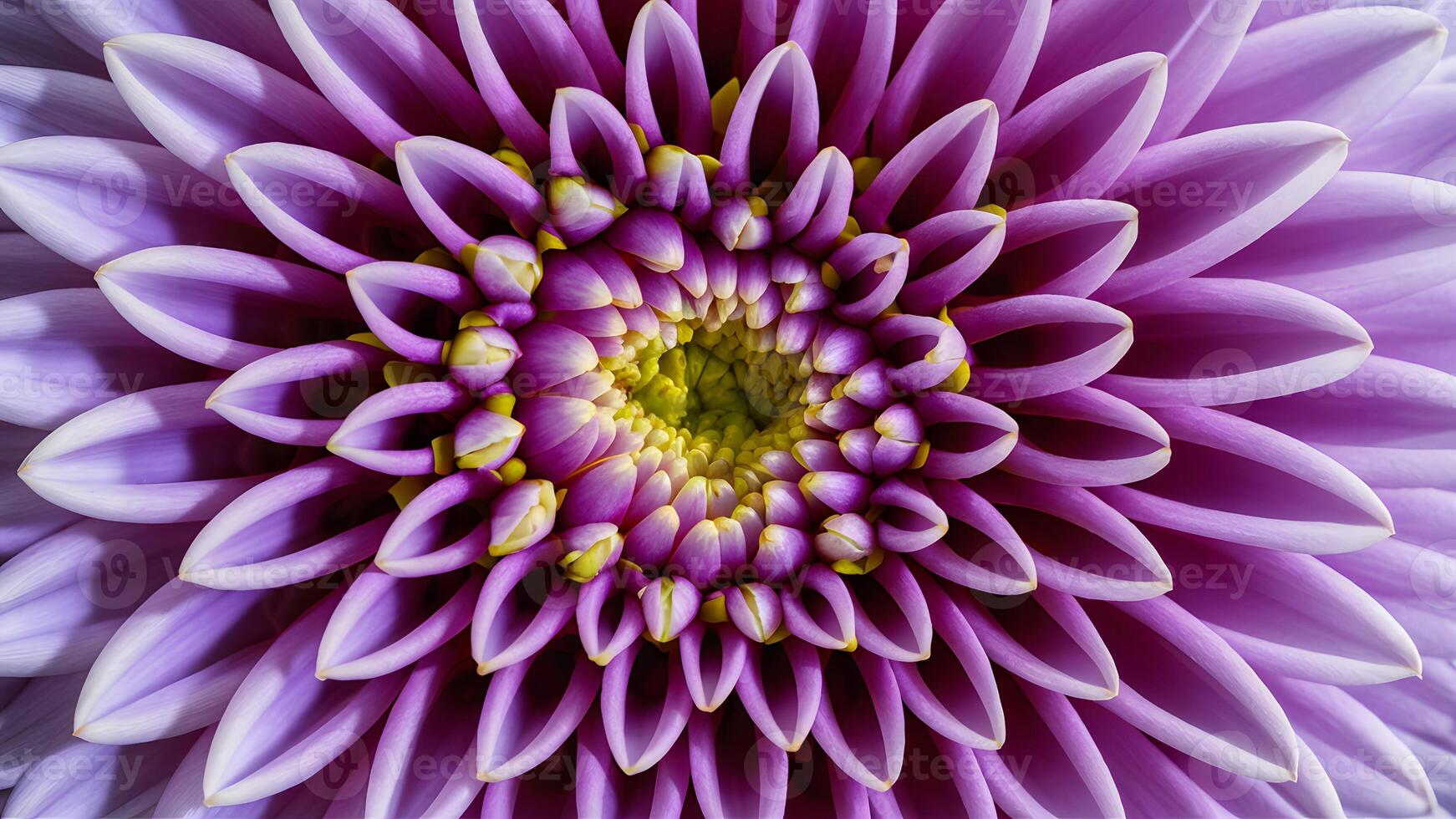ai generado resumen macro imagen caracteristicas fascinante flor pétalos antecedentes foto