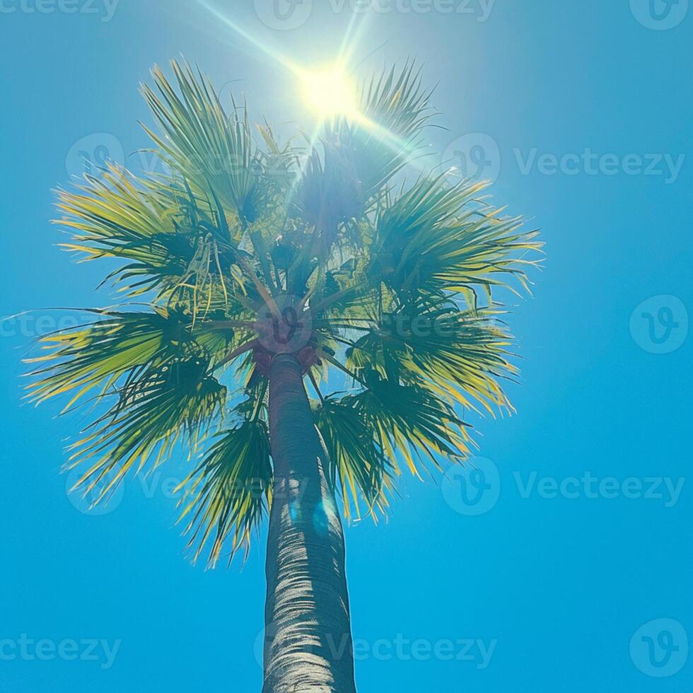 AI generated Tropical palm tree against a blue sky with bright sun For Social Media Post Size photo