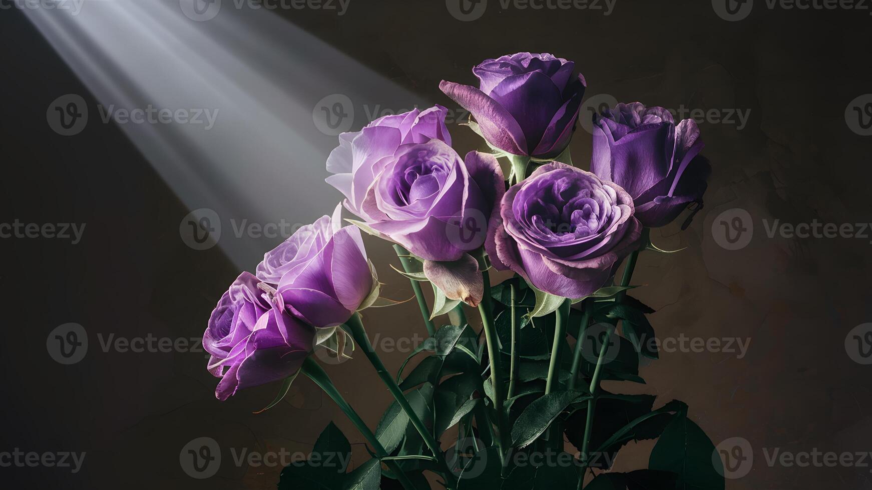 AI generated Purple roses in abstract shot with beam of light, top left photo