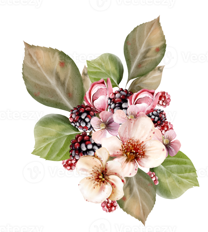 Watercolor festive bouquet of beautiful flowers and fruity blackberries with green leaves. Illustration png