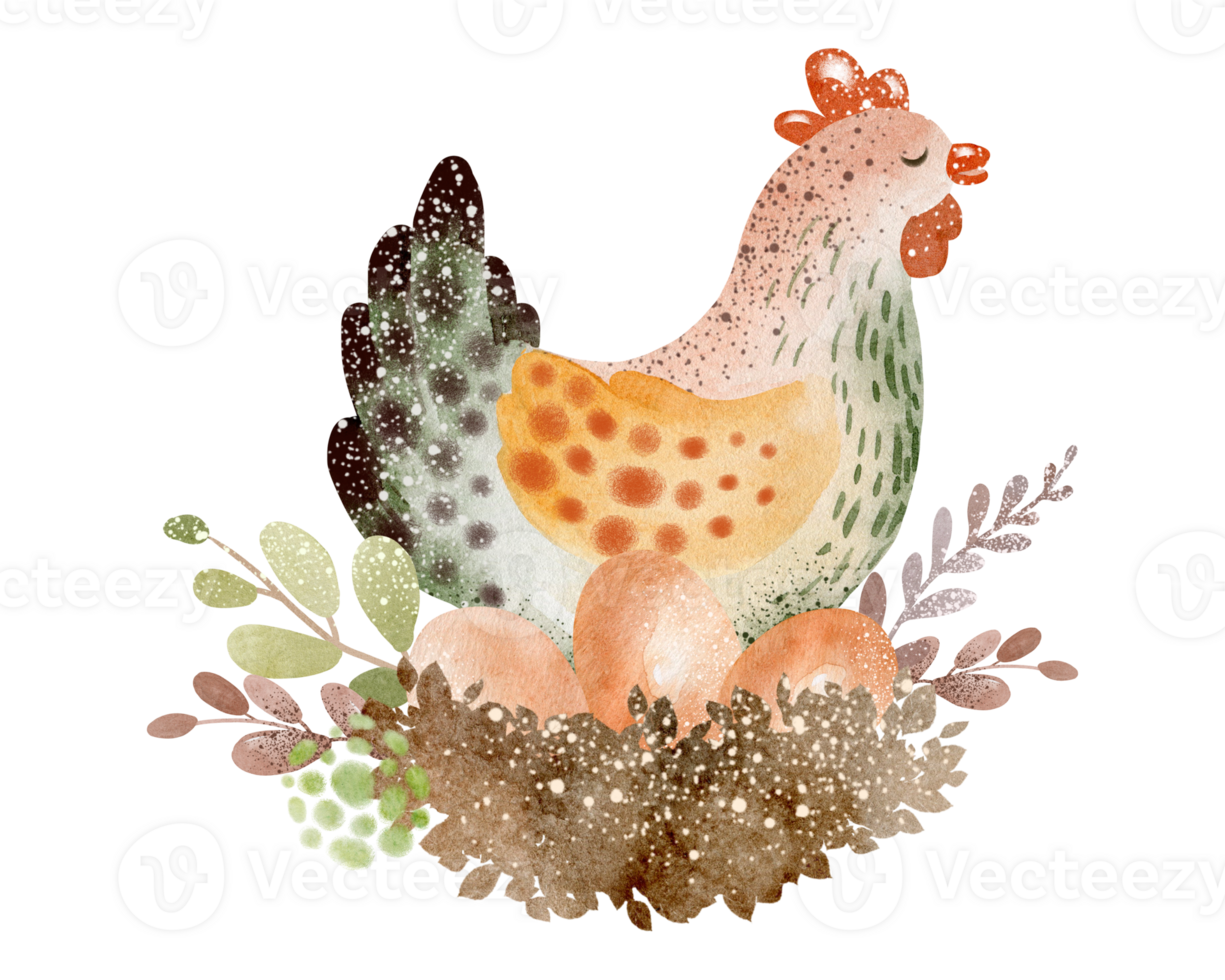 Watercolor illustration of bird. Farm animals cartoon poultry. Chicken, rooster and eggs cartoon Easter collection. Agriculture symbol hand drawn. png