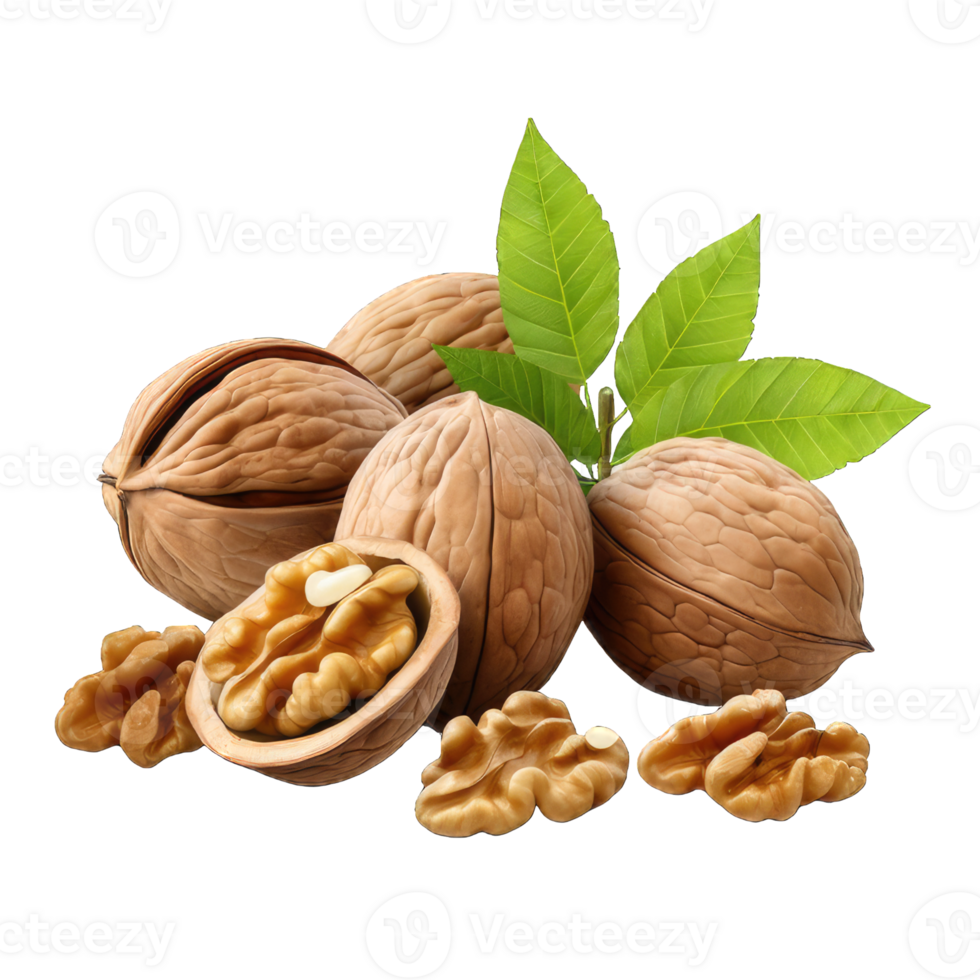 AI generated Walnut Studio Shot Isolated on transparent Background, Food Photography, png