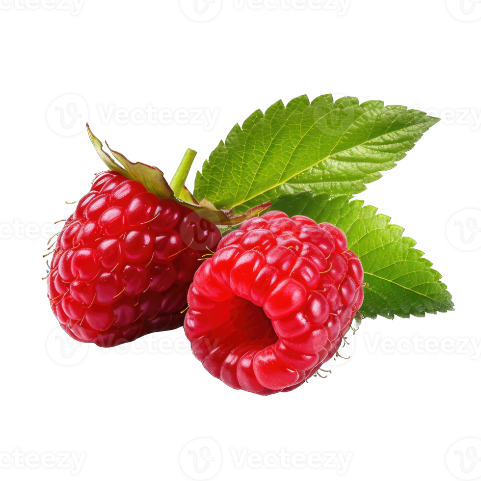AI generated Raspberry Studio Shot Isolated on transparent Background, Food Photography, png