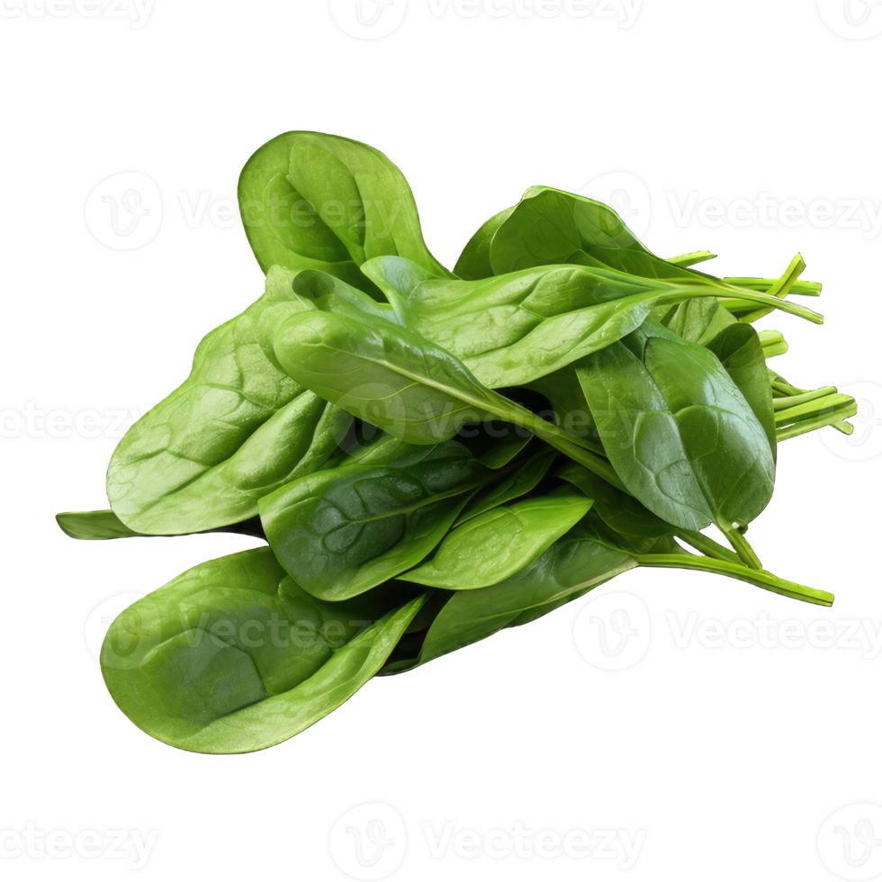 AI generated spinach Studio Shot Isolated on transparent Background, Food Photography, png