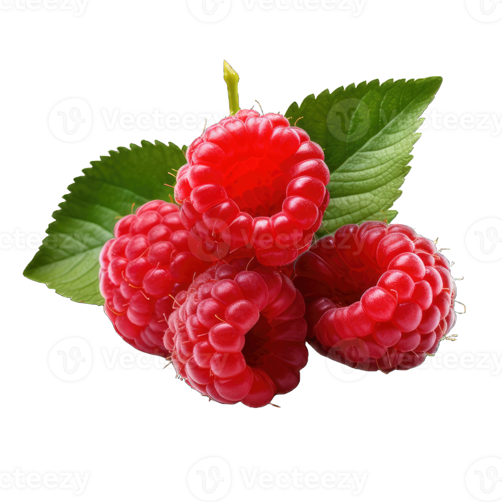 AI generated Raspberry Studio Shot Isolated on transparent Background, Food Photography, png