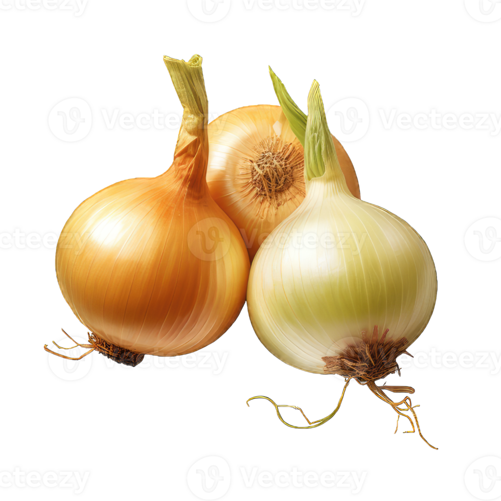 AI generated Onion Studio Shot Isolated on transparent Background Food Photography PNG