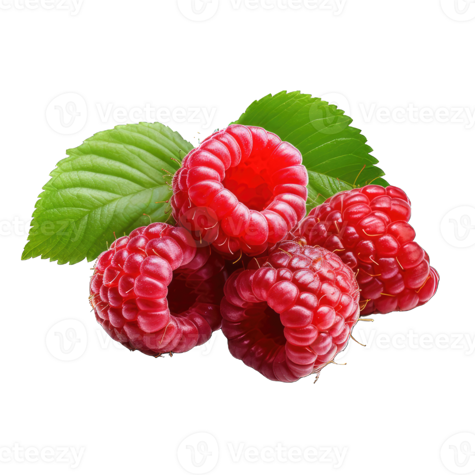AI generated Raspberry Studio Shot Isolated on transparent Background, Food Photography, png