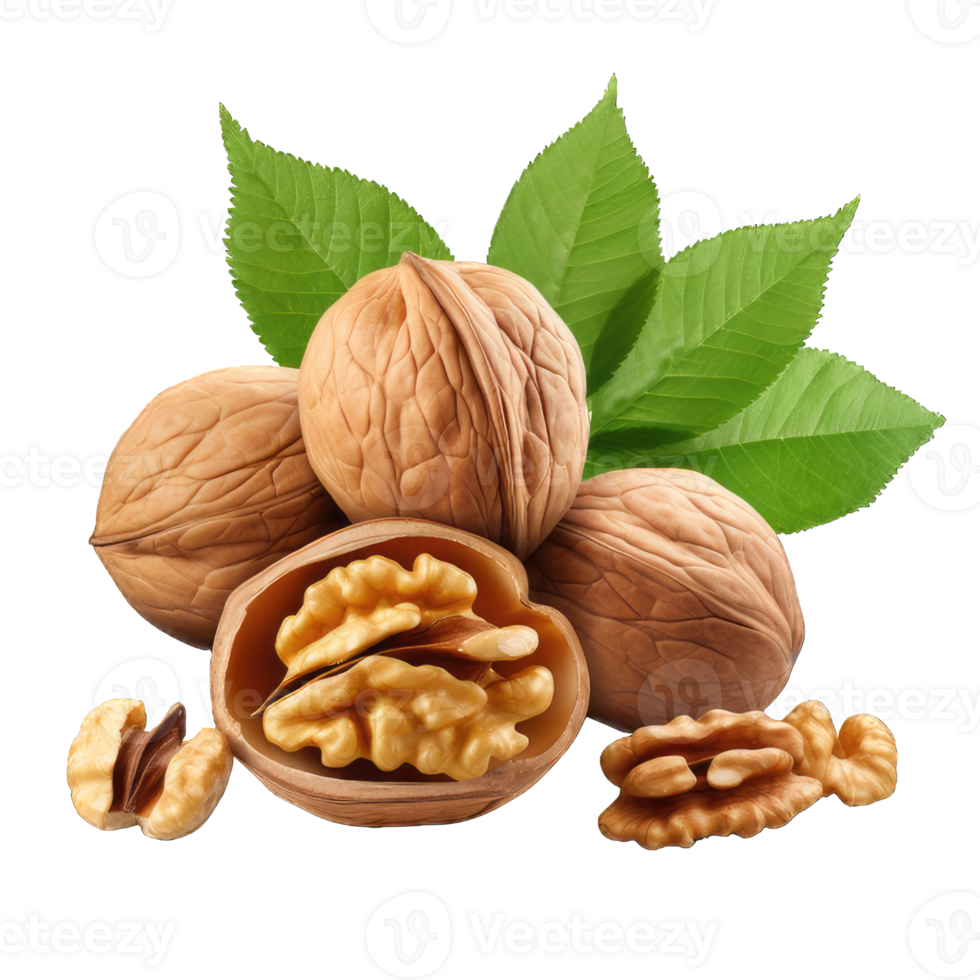 AI generated Walnut Studio Shot Isolated on transparent Background, Food Photography, png