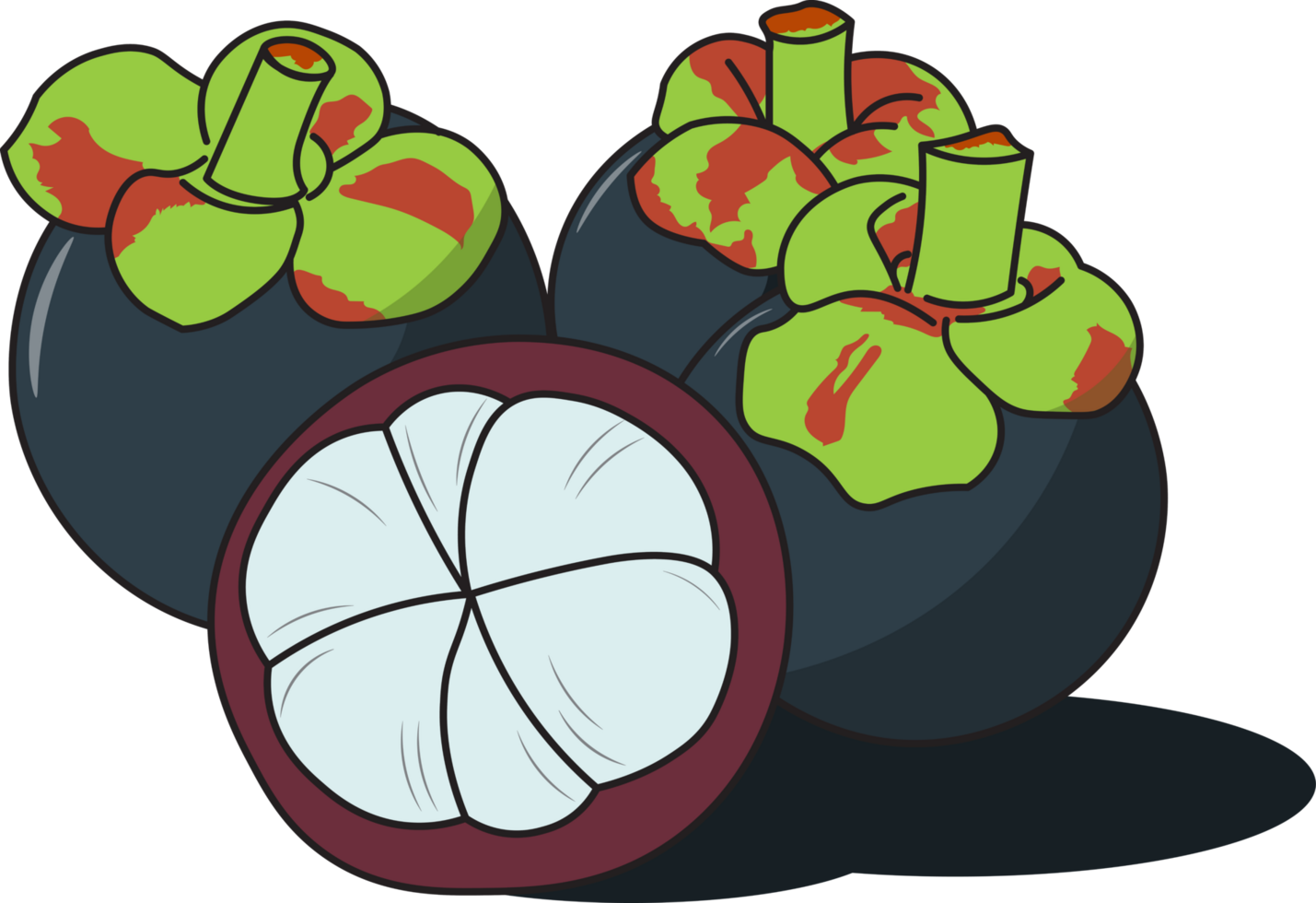 four mango steen png