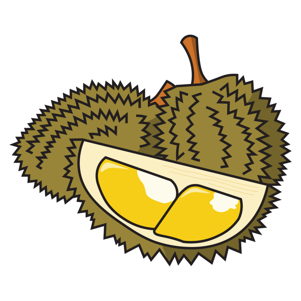 two whole durian and one slice png
