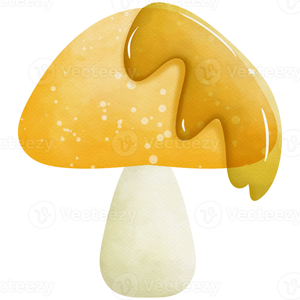 Mushroom watercolor so cute png