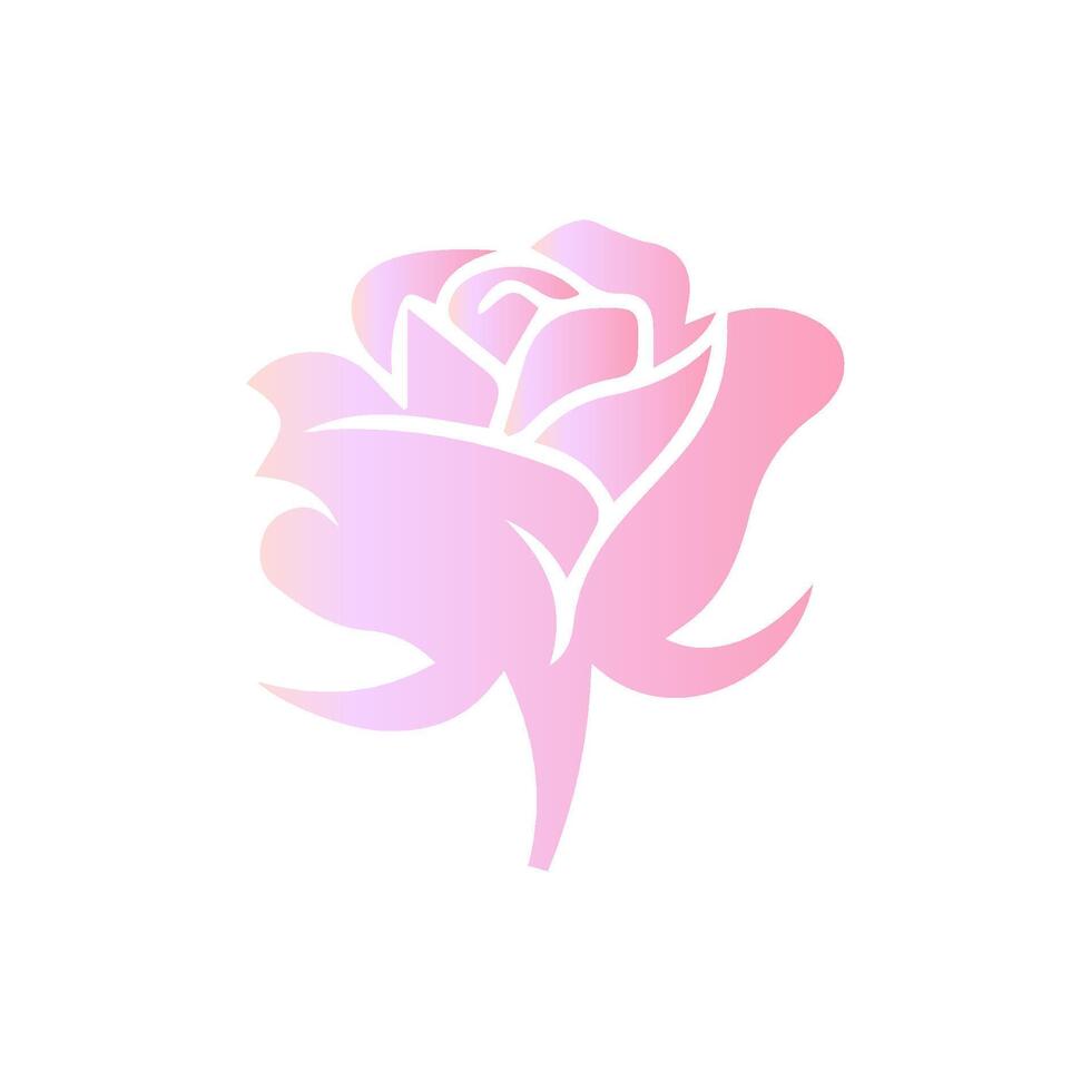 Rose flower of blooming plant. Garden rose isolated icon of pink blossom, petal and bud with green stem and leaf for romantic floral decoration, wedding bouquet and valentine greeting card vector