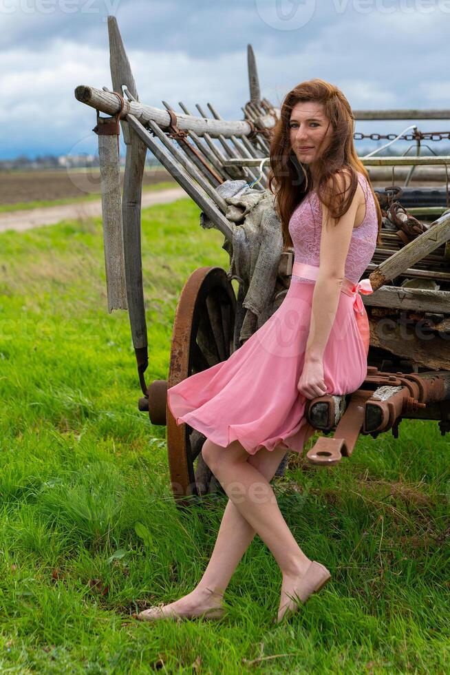 bonito joven mujer en un rosado vestir en frente de un caballo dibujado carro foto