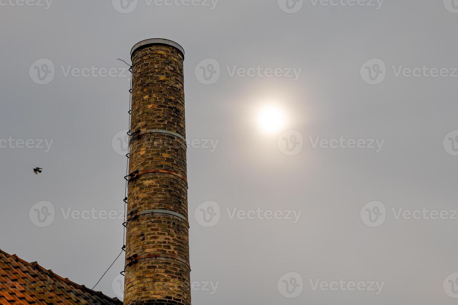 brick chimney with a bird flying by photo