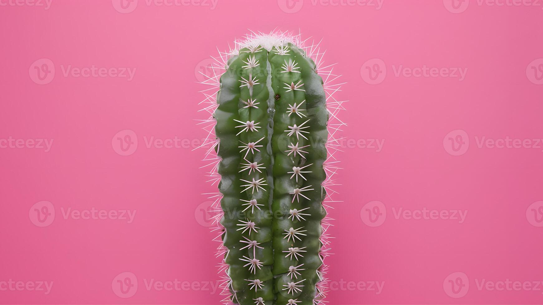 AI generated Tropical fashion cactus on pink paper background, minimal style photo